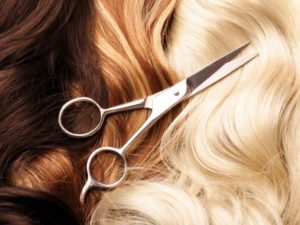 trimming the hair