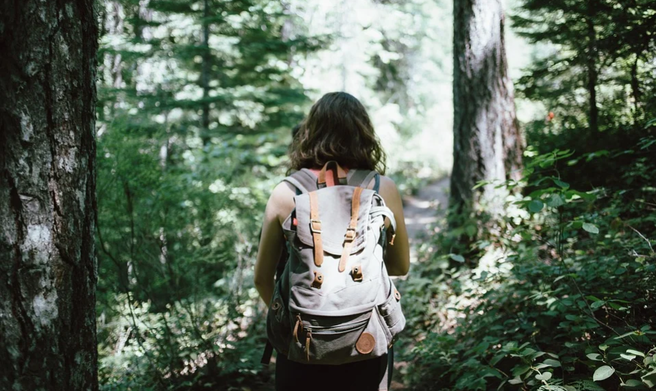 hiking sharpen your mind